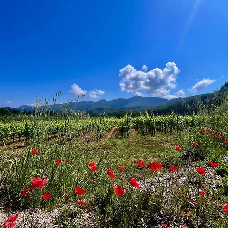 Apartamento Casetta Di Davide - Elba Affitti *