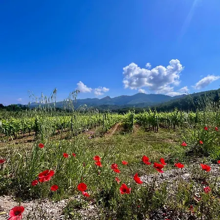 Casetta Di Davide - Elba Affitti Lägenhet *